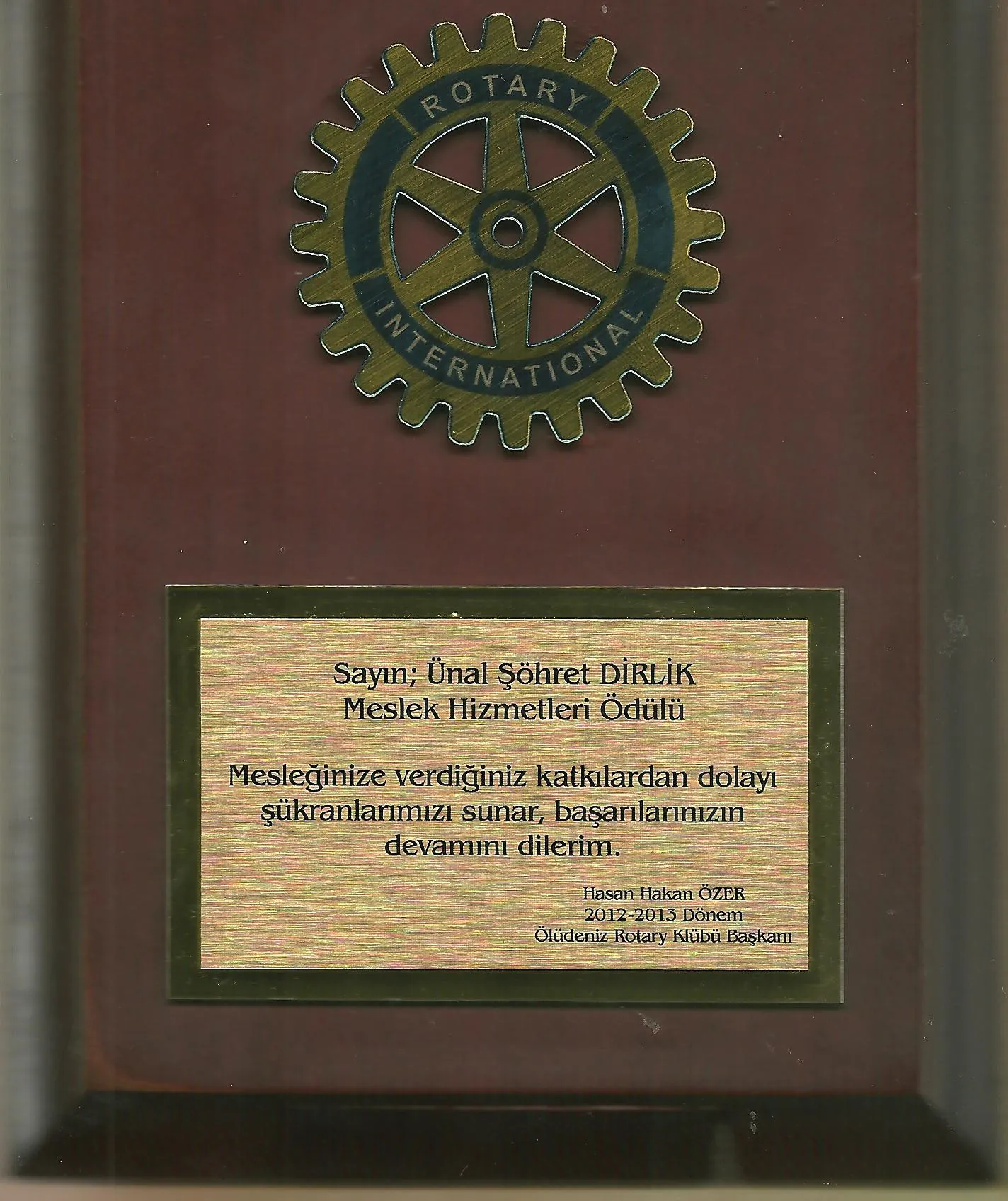 Rotary Kulübü Meslek Hizmet Ödülü