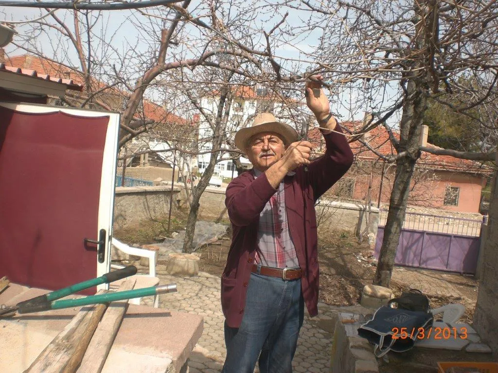 Bahçesinde Bahar budaması