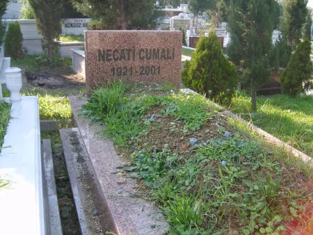 Necati Cumalı'nın kabri
