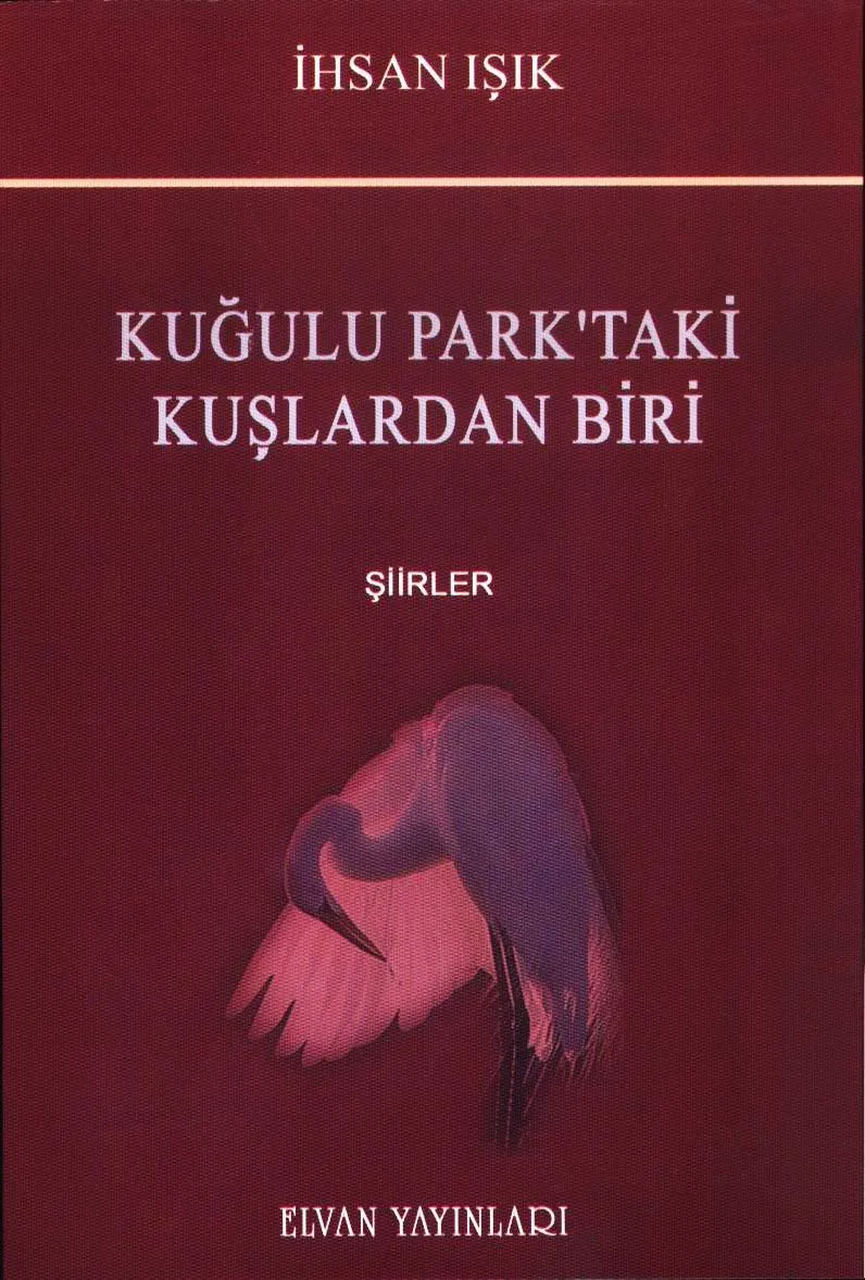Kuğulu Park'taki Kuşlardan Biri