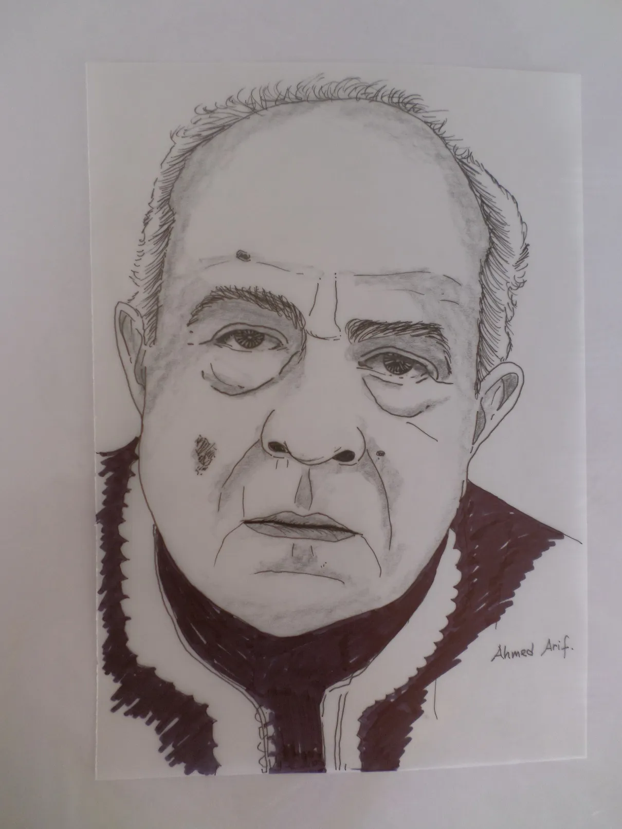 Ahmed Arif 2 (Portre Emrullah Güney)