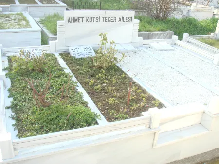Ahmet Kutsi Tecer'in mezarı