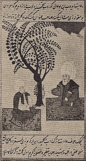 Miniature of İbn-i Kemal