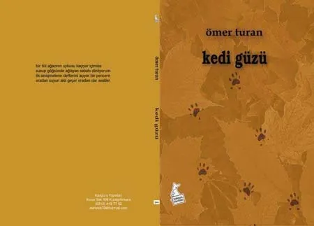 Kedi Gözü