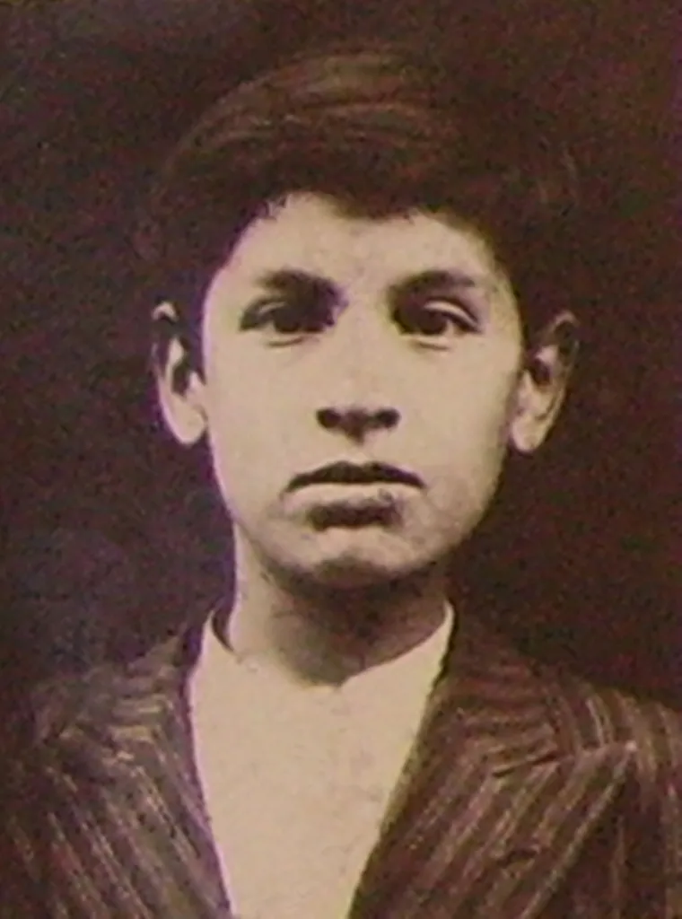 Şemsi Belli ilokul çağları