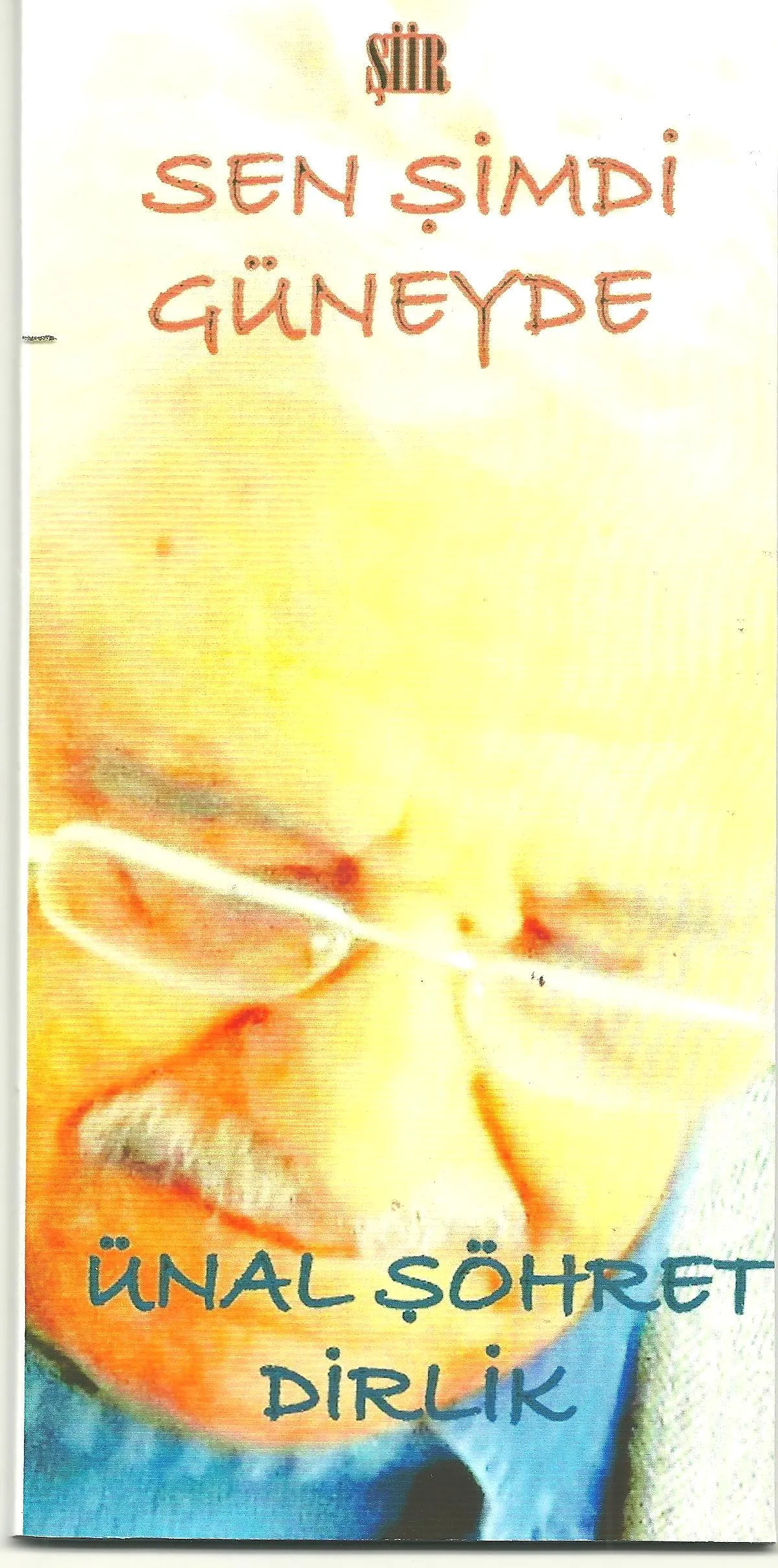 Sen Şimdi Güneyde - Şiirler