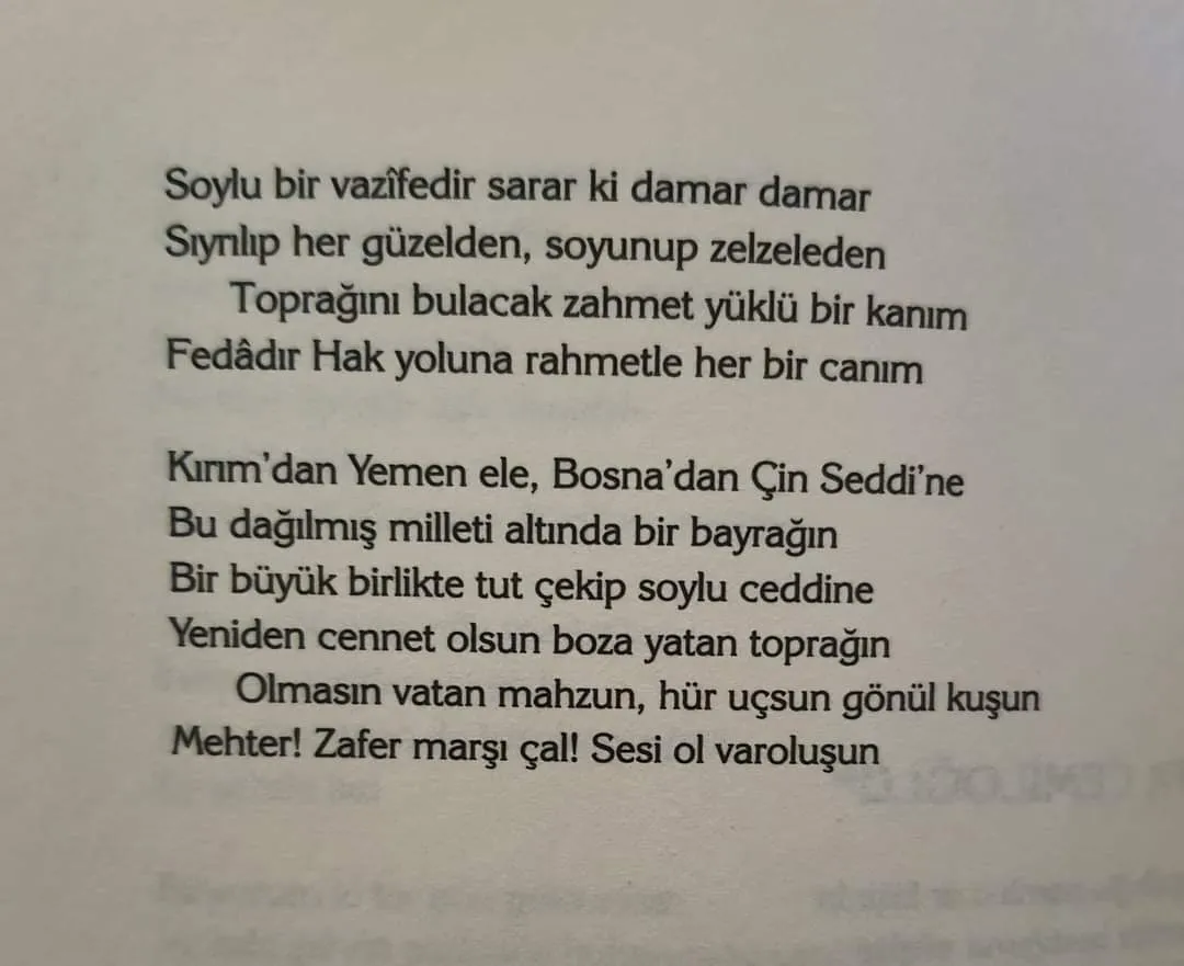Lütfü Şehsuvaroğlu şiirinin devamı