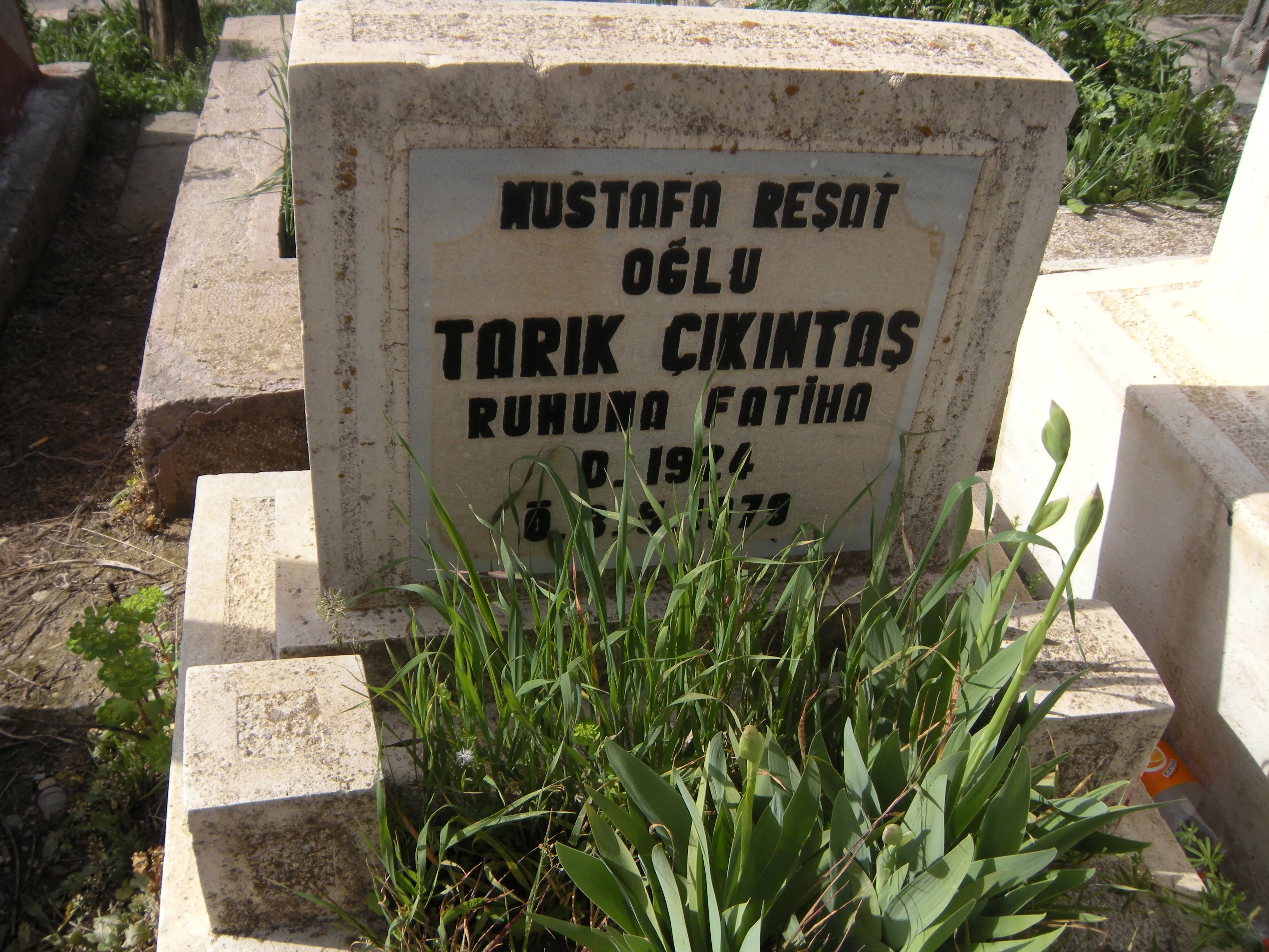 Tarık Çıkıntaşın mezarı (Mardinkapı Mezarlığı)