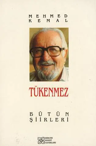 Mehmed Kemal, şiir kitabı