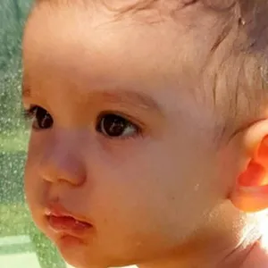 Kuzey Deniz
