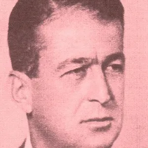 Ziya Nami Şerefhanoğlu