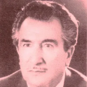 Tahsin Türkay