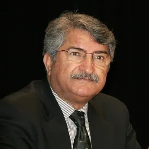 Fikri Sağlar