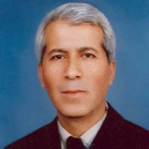 Mustafa Albayrak (Şair)