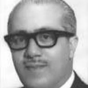Ahmet Vefik Kitapçıgil