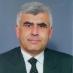 Ali Günay (Siyasetçi)