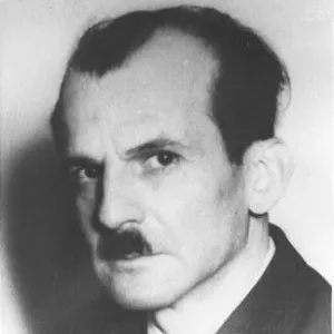 Vedat Nedim Tör