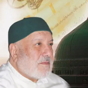 Muhammed Sadık Hamidî (Aydın)