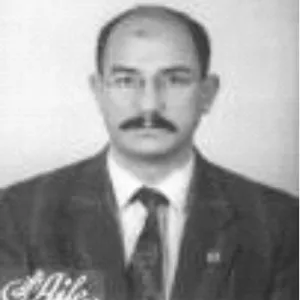 M. Hanefi Palabıyık