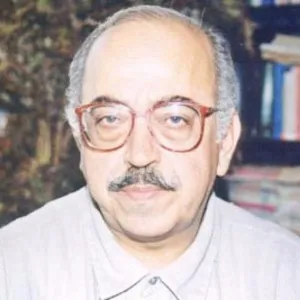 Süreyya Berfe