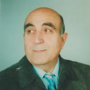 Vehbi Said Gökrenk