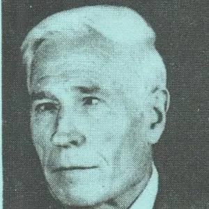 Sami N. Özerdim