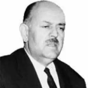 Hasan Şemi Ergin