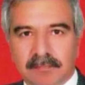 C. Ergun Çelik