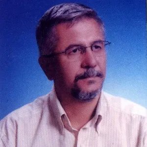 Arslan Bayır