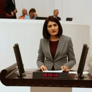 Semra Güzel (Siyasetçi)