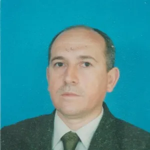 Arif Dülger