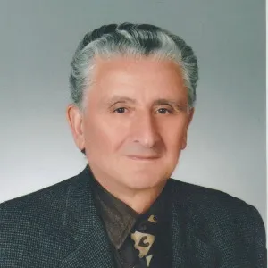 M. Güner Demiray