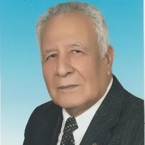 M. Demirel Babacanoğlu