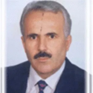 Erhan Yetik