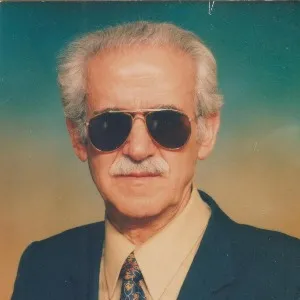 Ziya Mısırlı