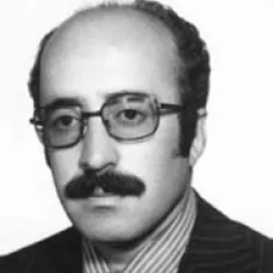 Lütfi Şahin (Milletvekili)