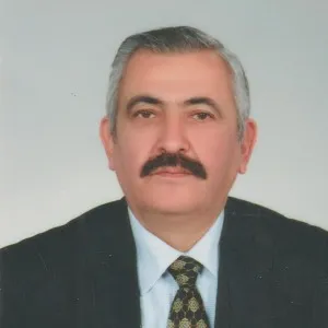 Mehmet Naci Onur