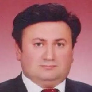 Ahmet Kara (Ekonomist)