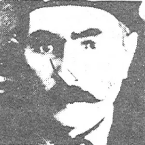 Tevfik Bey (Gülekzade)