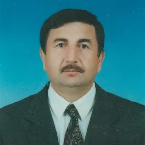 İsmail Yılmaz (Romancı)