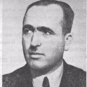 Nazif Ergin
