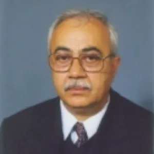 Abdülhaluk Mehmet Çay