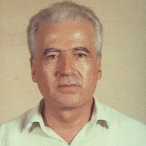 Rahmi Ali