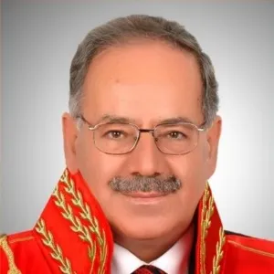 Mehmet Ekmekçi