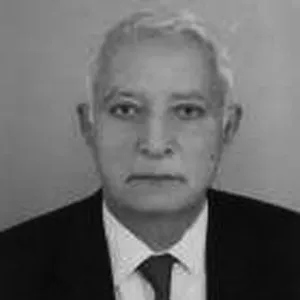 Ergun Özbudun
