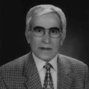 Avni Gözütok