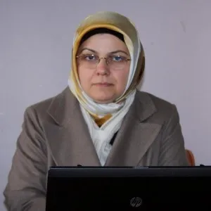 Ayşe Böhürler