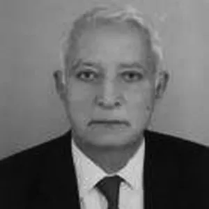 Ergun Özbudun