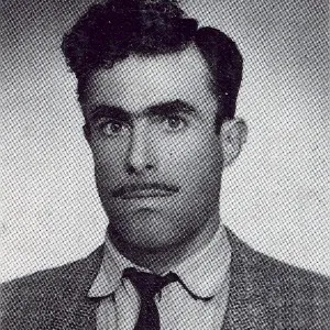 Özerî
