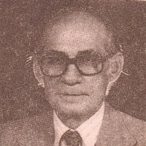 Zihni Anadol